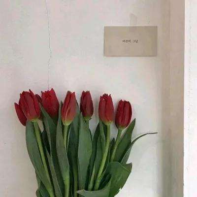 九州仙缘红包版下载